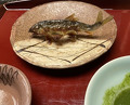 Dinner at Kikunoi (赤坂 菊乃井)