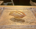 Dinner at Sushi Ino (鮨 いの)