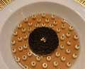 Dinner at Gastronomy Joel Robuchon (ガストロノミー ジョエル・ロブション)