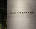 Dinner at L'Effervescence