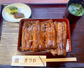 Dinner at Unagi no Matsu Ka (うなぎのまつ嘉)