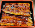 Dinner at Unagi Tei Tomoei (うなぎ亭 友栄)