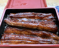 Dinner at Unagi Tei Tomoei (うなぎ亭 友栄)