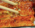 Dinner at Unagi Uomasa (うなぎ 魚政)