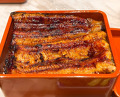 Dinner at Unagi Uomasa (うなぎ 魚政)