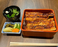Dinner at Unagi Uomasa (うなぎ 魚政)