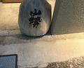 Dinner at Yamasei (山勢)