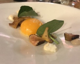 Egg yolk and mushrooms