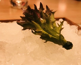 Iced lettuce with wild rose miso