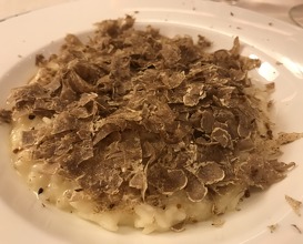 Risotto with white alba truffle 