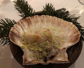 Scallop cooked on the shell with flavoured fir butter 