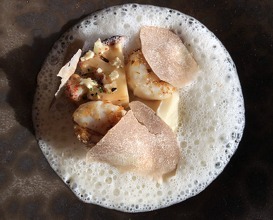 Grilled scallops w Alba white truffle, slow cooked cauliflower mushroom, sauce a l’or Blanc