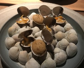venus clams