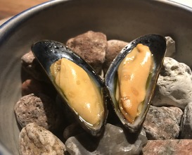best or the mussel