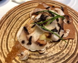 Tree trunk: boletus consommé, Parmesan gnocchi with bread crusts, mushrooms and truffle 