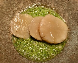 Scallop from Hijra, fermented white asparagus and chamomile 