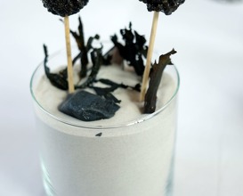 Lollipop for adults - caviar, Baerri