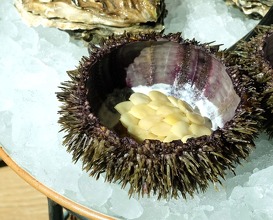 sea urchin, gigas oyster 