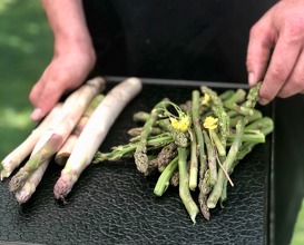 Asparagus before cooking
