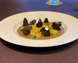 Yellow and brown morels, mousseline of morel, roasted gnocchi with poultry broth and savoury flavours, licorice zabaglioni 