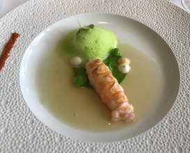 2017 Langoustine over an aniseed sea-bed and coral mayonnaise