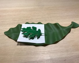 idiazabal leaf