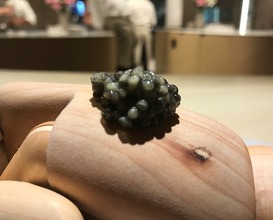 caviar hand