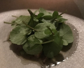 Dinner at Amass, Matts Orlando  five years after Noma