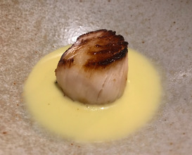 Scallop with Spruce