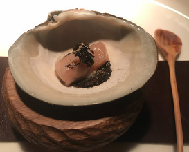 200 year old Mahogany clam & mushroom