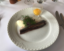 Herring from 'Christiansø', egg yolk, red onion and creme fraiche