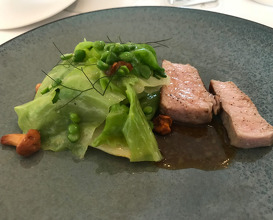 MILK-FED VEAL LOZERE' green pea pointed cabbage girolle