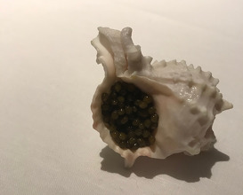 Conch Conch, Cauliflower & Kaffir Custard, Caviar