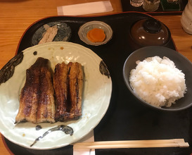 Lunch at Eel Mitsuru