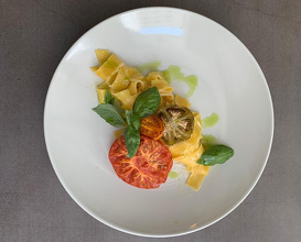 Pappardelle  with stewed tomato