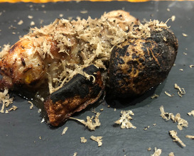 Quail leg cooked on hot stones with black truffles from the Bulgarian forests on top