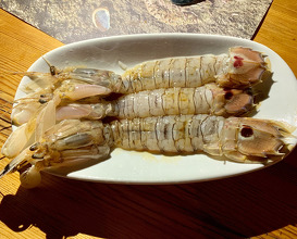 Mantis shrimp served raw 