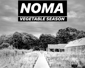 Meal at Noma – Vegetables