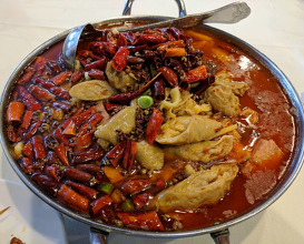 Dinner at Chengdu Taste