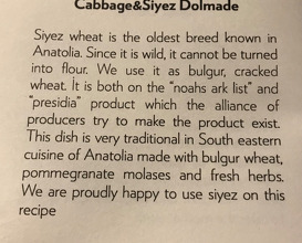 CABBAGE & SIYEZ wheat dolmade, milk poached garlic and parsley