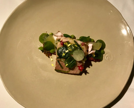 Smoked TROUT, turnip fermented bulgur and crab salad, pickled apples, purslane