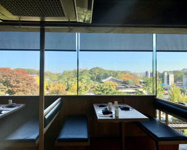 Dining room and view