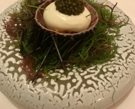 MARUKYO UNI Spot prawn tartare | Mussel cloud | Royal Schrenckii caviar