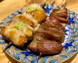 Dinner at 鶏と肴 フルヤ Furuya