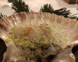 Scallop cooked on the shell with flavoured fir butter 
