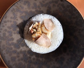 Grilled scallops w Alba white truffle, slow cooked cauliflower mushroom, sauce a l’or Blanc