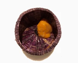 Sea urchin marinated in sea urchin juice