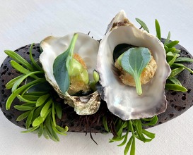 Oyster, essence of herbs and fino 