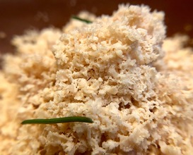 Pine: toasted pine nuts ice cream, cured foiegras shavings and pineshoots 
