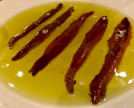 Cantabrian anchovies and rosemary oil